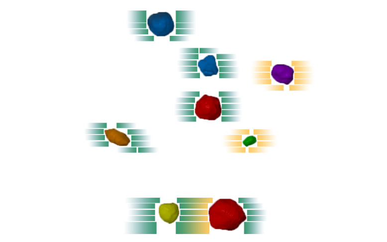 Dosimetric Validation for an Automatic Brain Metastases Planning Software Using Single-Isocenter Dynamic Conformal Arcs